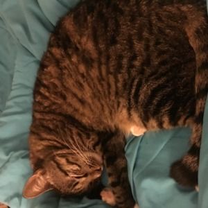 Meet your Posher, Ellie